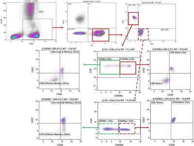 Prostate Cancer: Early Detection and Assessing Clinical Risk Using Deep Machine Learning of High Dimensional Peripheral Blood Flow Cytometric Phenotyping Data